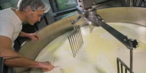 FSSAI for Dairy Product Manufacturers